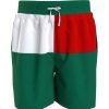 Tommy Flag Swimshort Jn42 New