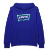 Levis Glow Efct Bw H New