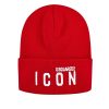 Icon Embroidered Beanie New