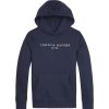 Tommy Logo Hoodie Best